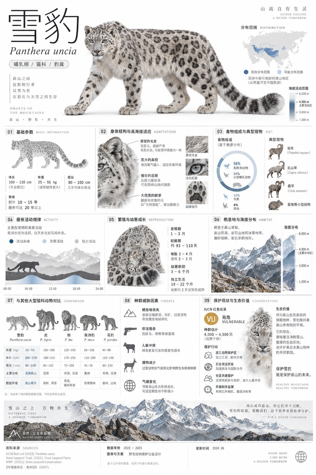 Snow leopard natural history infographic